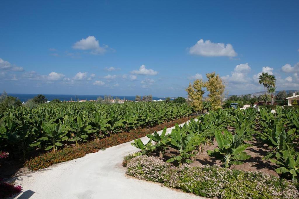 וילה Banana Sunset Paphos
